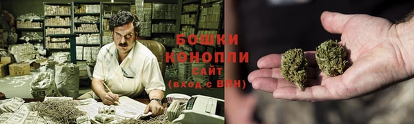 PSILOCYBIN Вязники