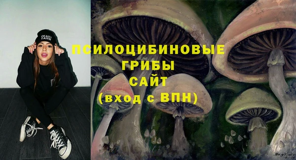PSILOCYBIN Вязники