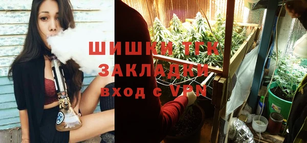 PSILOCYBIN Вязники