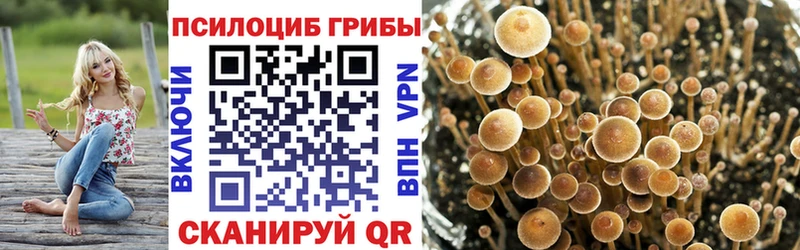 Купить  Ликино-Дулёво  Галлюциногенные грибы Magic Shrooms 